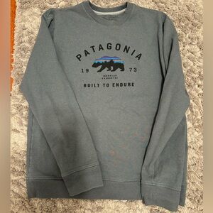 Patagonia hoodie size M